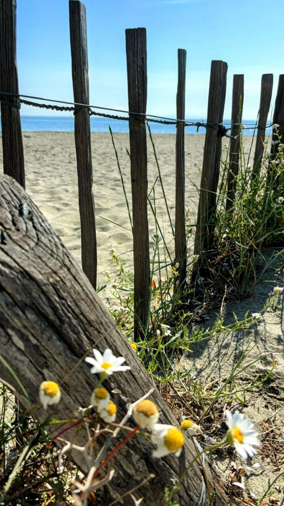 Hébergement de vacances A Casetta Di L Alivu